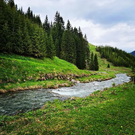 D'rock Arosa-nightlife Lodge-adults Only *