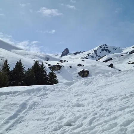 D'rock Arosa-nightlife Lodge-adults Only