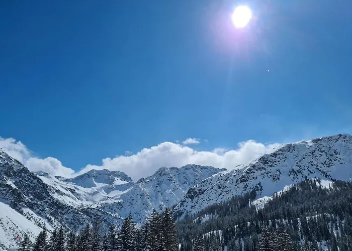 D'rock Arosa-nightlife Lodge-adults Only * Arosa