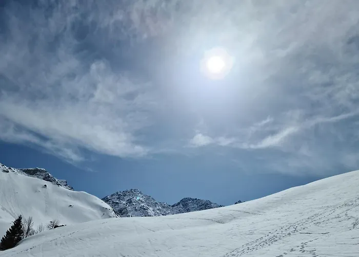 D'rock Arosa-nightlife Lodge-adults Only