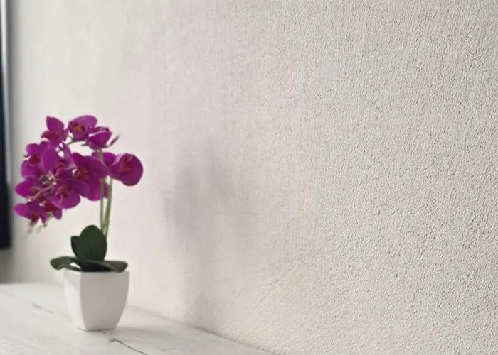 D'rock Arosa-nightlife Lodge-adults Only *