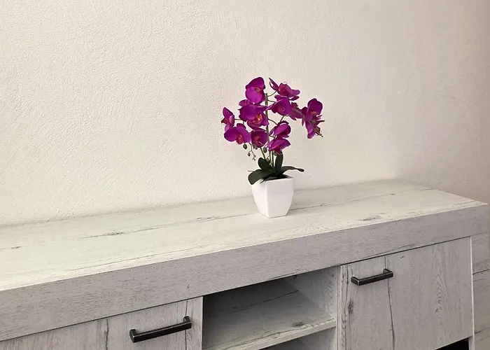 D'rock Arosa-nightlife Lodge-adults Only Arosa